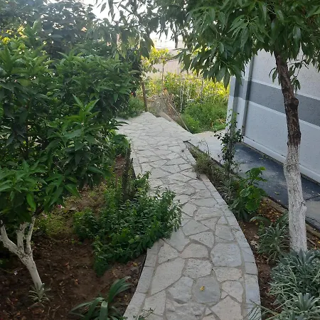 Mane Sarandë